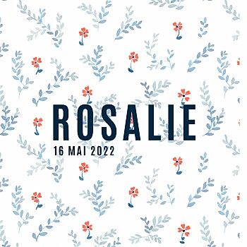 Faire-part de naissance petit jardin de capucines (mini format) bleu Faire-part de naissance petit jardin de capucines (mini format) bleu