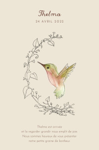 Aquarelle Naissance - Colibri - Little water drop