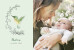 Faire-part de naissance Petit colibri (paysage) vert - Page 1