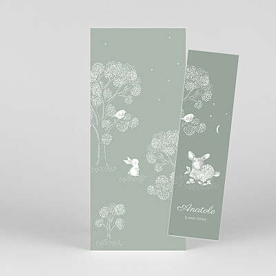 Faire-part de naissance vert histoire du soir (marque-page) vert Faire-part de naissance vert histoire du soir (marque-page) vert