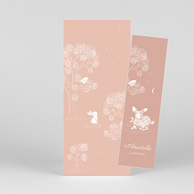 Faire-part de naissance rose histoire du soir (marque-page) rose Faire-part de naissance rose histoire du soir (marque-page) rose