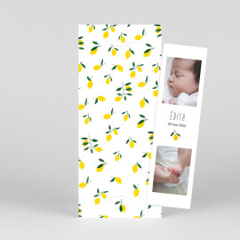 Faire-part de naissance Agrumes crayonnées (marque-page) citron