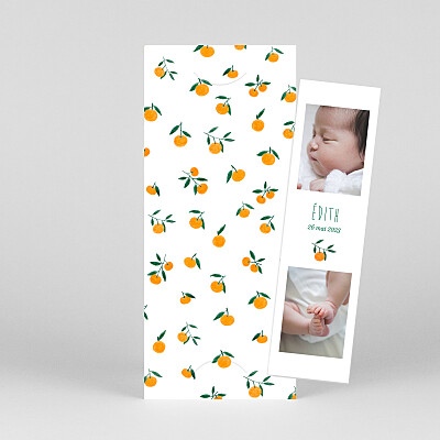Faire-part de naissance orange agrumes crayonnées (marque-page) clémentine Faire-part de naissance orange agrumes crayonnées (marque-page) clémentine