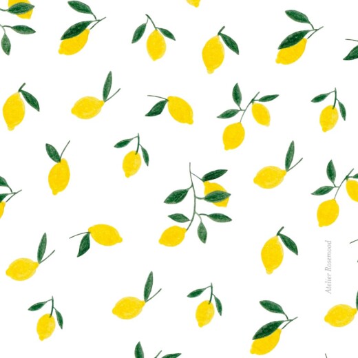 Faire-part de naissance Agrumes crayonnés (triptyque) citrons - Page 3