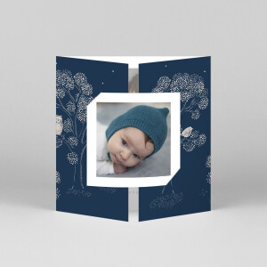 Faire-part de naissance Histoire du soir (fenêtre) bleu Faire-part de naissance Histoire du soir (fenêtre) bleu