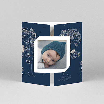 Faire-part de naissance nature histoire du soir (fenêtre) bleu Faire-part de naissance nature histoire du soir (fenêtre) bleu