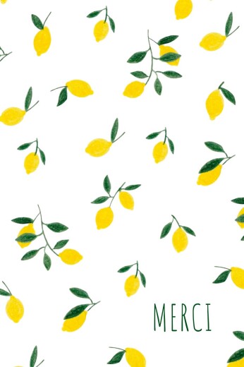Carte de remerciement Agrumes crayonnés citrons - Recto Carte de remerciement Agrumes crayonnés citrons - Recto