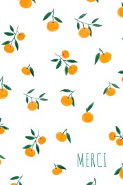 Carte de remerciement Agrumes crayonnés orange