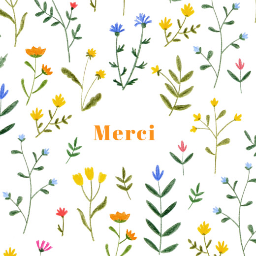 Carte de remerciement Fleurs sauvages blanc - Recto Carte de remerciement Fleurs sauvages blanc - Recto