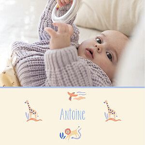 Faire-part de naissance beige douce savane (4 pages) beige Faire-part de naissance beige douce savane (4 pages) beige