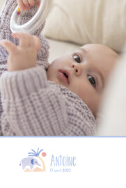 Faire-part de naissance Douce savane (portrait) beige