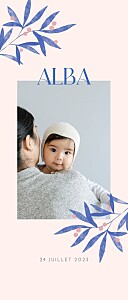 Faire-part de naissance fille laurier rose Faire-part de naissance fille laurier rose