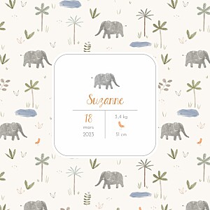 Faire-part de naissance fille petite oasis beige Faire-part de naissance fille petite oasis beige