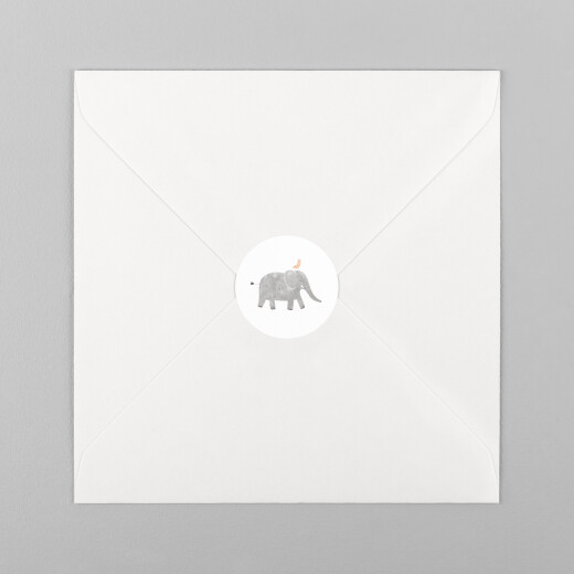 Stickers pour enveloppes naissance Petite Oasis (Blanc) - Vue 2