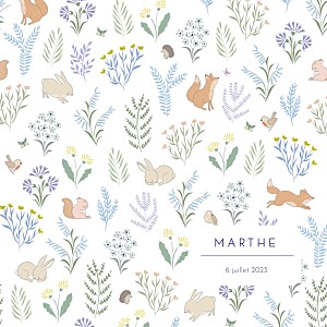 Faire-part de naissance animaux galipette (4 pages) bleu Faire-part de naissance animaux galipette (4 pages) bleu