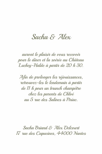 Carton d'invitation mariage Votre mariage en pictos (Portrait) - Verso