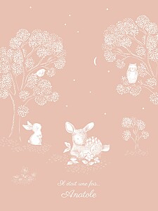 Affichette classique histoire du soir rose Affichette classique histoire du soir rose