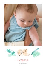 Faire-part de naissance Petite Tropique (4 pages) Blanc