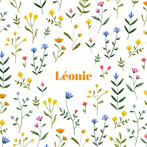 Faire-part de naissance nature fleurs sauvages (4 pages) blanc Faire-part de naissance nature fleurs sauvages (4 pages) blanc