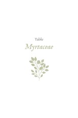 Marque-table mariage Signature végétale Vert