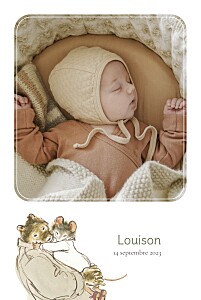 Carte étape bébé © Ernest & Célestine - Rosemood