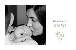 Carte de remerciement vert signature végétale vert Carte de remerciement vert signature végétale vert