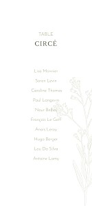 Plan de table mariage fleur botanique vert Plan de table mariage fleur botanique vert