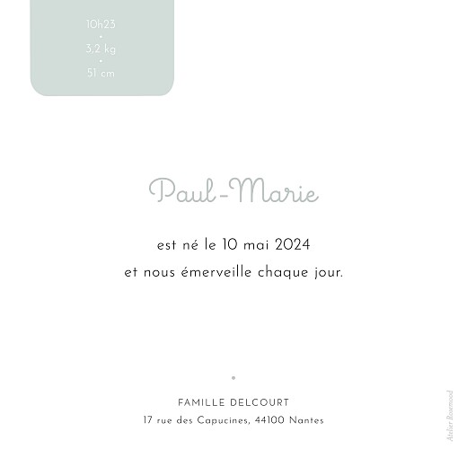 Faire-part de naissance Etiquette pastel Bleu - Verso Faire-part de naissance Etiquette pastel Bleu - Verso