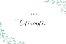 Marque-table mariage Ronde aquarellée blanc Marque-table mariage Ronde aquarellée blanc