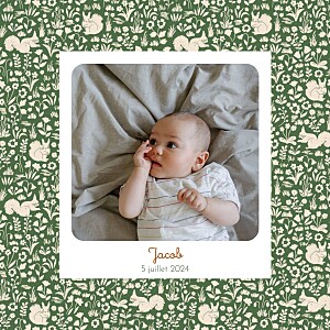 Faire-part de naissance vert liberty écureuil (4 pages) vert Faire-part de naissance vert liberty écureuil (4 pages) vert