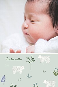 Faire-part de naissance nature mon petit ourson (portrait) bleu Faire-part de naissance nature mon petit ourson (portrait) bleu