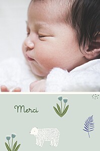 Carte de remerciement animaux mon petit ourson bleu Carte de remerciement animaux mon petit ourson bleu