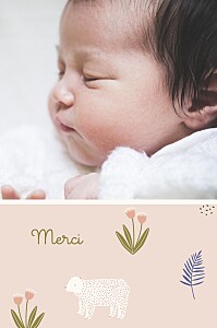 Carte de remerciement rose mon petit ourson rose Carte de remerciement rose mon petit ourson rose