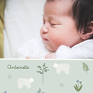 Faire-part de naissance avec photo mon petit ourson bleu Faire-part de naissance avec photo mon petit ourson bleu