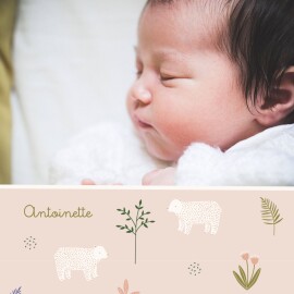 Faire-part de naissance Mon petit ourson rose
