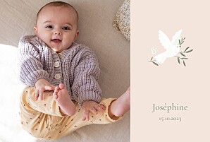 Faire-part de naissance rose petite colombe (paysage) rose Faire-part de naissance rose petite colombe (paysage) rose