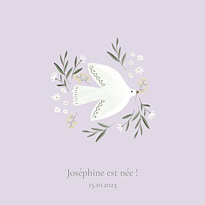 Faire-part de naissance rose petite colombe (4 pages) lilas Faire-part de naissance rose petite colombe (4 pages) lilas