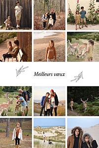 Carte de voeux nature jeune pousse (12 photos) blanc Carte de voeux nature jeune pousse (12 photos) blanc