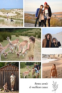Carte de voeux nature jeune pousse (7 photos) blanc Carte de voeux nature jeune pousse (7 photos) blanc