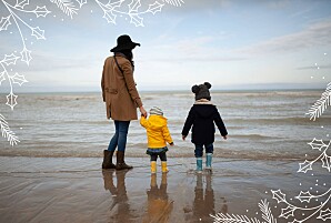 Carte de voeux nature houx de noël blanc Carte de voeux nature houx de noël blanc
