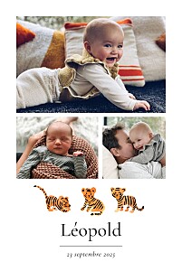 Faire-part de naissance photos petit tigre (portrait) blanc Faire-part de naissance photos petit tigre (portrait) blanc
