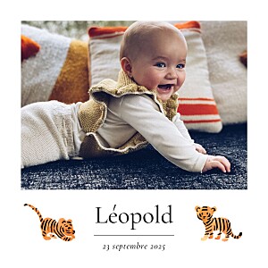 Faire-part de naissance animaux petit tigre blanc Faire-part de naissance animaux petit tigre blanc