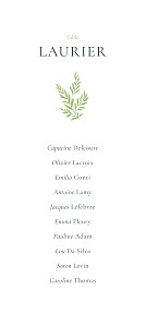 Plan de table mariage classique champêtre blanc Plan de table mariage classique champêtre blanc