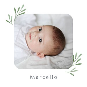 Faire-part de naissance vert picto végétal (4 pages) vert Faire-part de naissance vert picto végétal (4 pages) vert