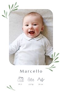 Faire-part de naissance vert picto végétal (portrait) vert Faire-part de naissance vert picto végétal (portrait) vert