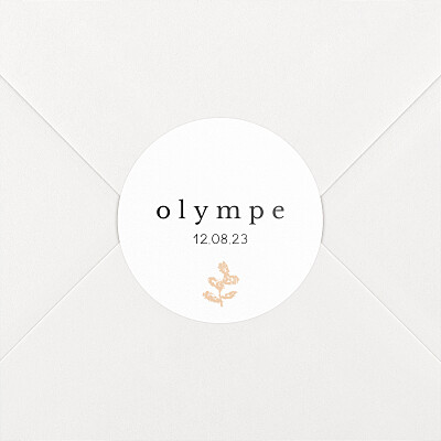 Stickers pour enveloppes naissance orange pastel végétal pêche Stickers pour enveloppes naissance orange pastel végétal pêche
