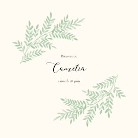Faire-part de naissance Ritournelle (4 pages) Vert