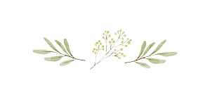 Marque-place baptême classique aquarelle végétale blanc Marque-place baptême classique aquarelle végétale blanc