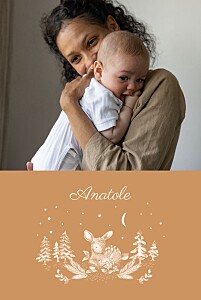 Faire-part de naissance orange histoire de noël orange Faire-part de naissance orange histoire de noël orange