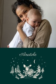 Faire-part de naissance Histoire de Noël Vert